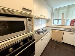 Amaryllis Ville (D11), Condominium #582398511